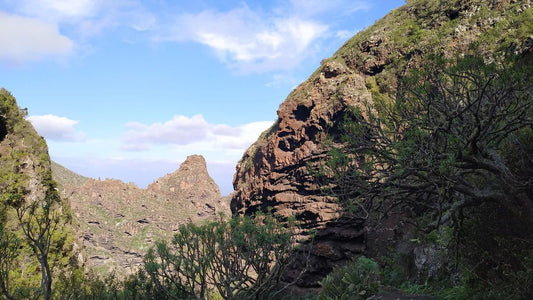 I migliori percorsi con zaino in spalla a Los Silos