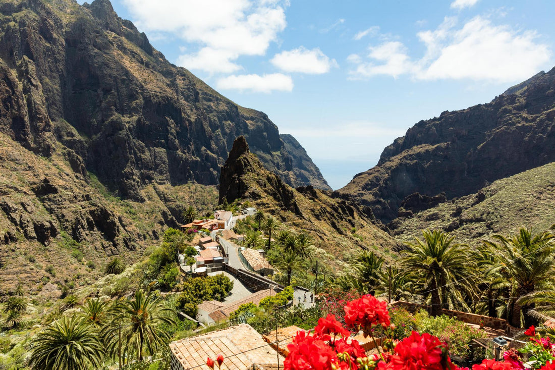 Cultura e natura Tenerife un'isola piena di luoghi segreti