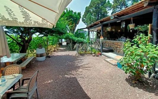 Il guachinche a Tenerife dove mangiare con vista mare e Teide con 20 €