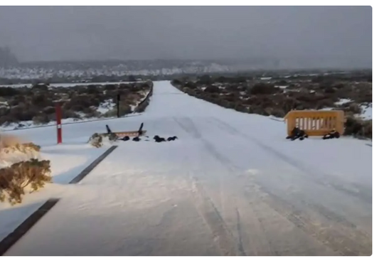 Le nevicate segnano l'arrivo della tempesta Emilia a Tenerife