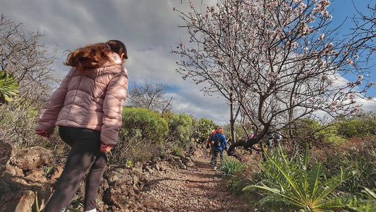I migliori percorsi da fare con i bambini a Tenerife