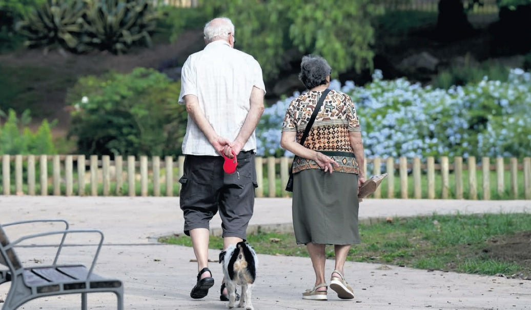 Canarie sempre più vecchie: l’invecchiamento corre come mai prima