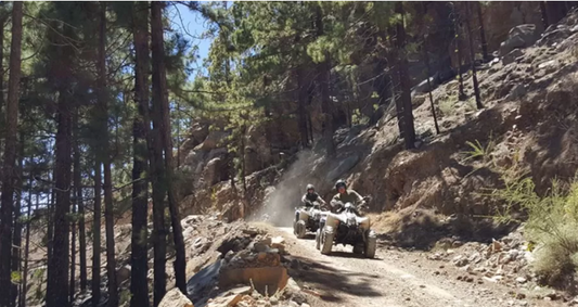 Quad legali a Tenerife: richieste misure dure contro gli abusivi
