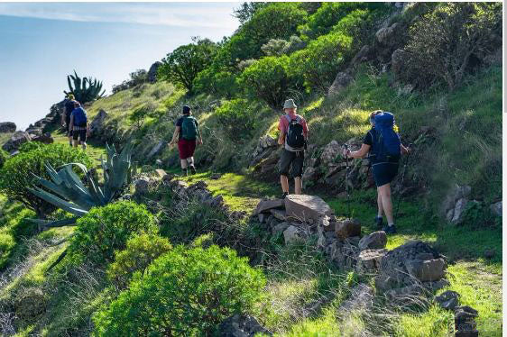 Occasione per gli amanti del trekking: Escursione a La Gomera