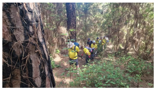 Ecco i sentieri escursionistici per disabili nel tesoro naturale di Anaga