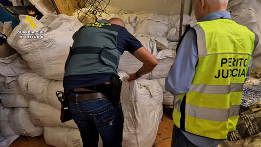 Maxi sequestro a Tenerife: merce contraffatta per 7 milioni di euro