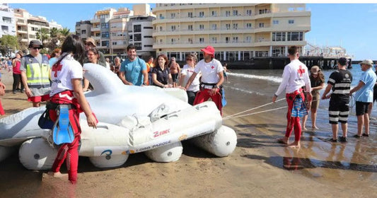 El Médano diventa ospedale da campo simulato per salvare cetacei