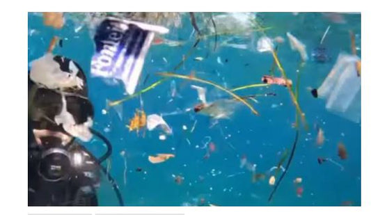 La spiaggia di Tenerife che conferma la stupidità umana