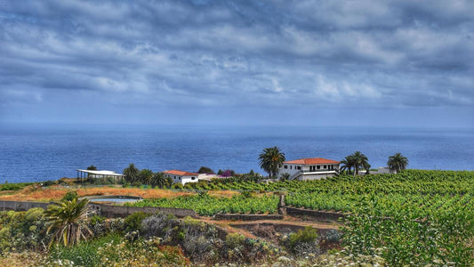 Ecco come sarà il tempo questo Natale alle Isole Canarie.