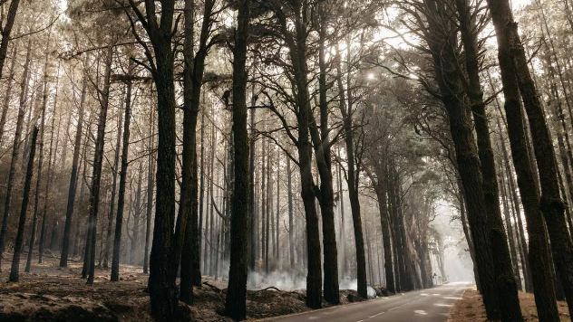 Riaperte le strade di accesso al Parco Nazionale del Teide,