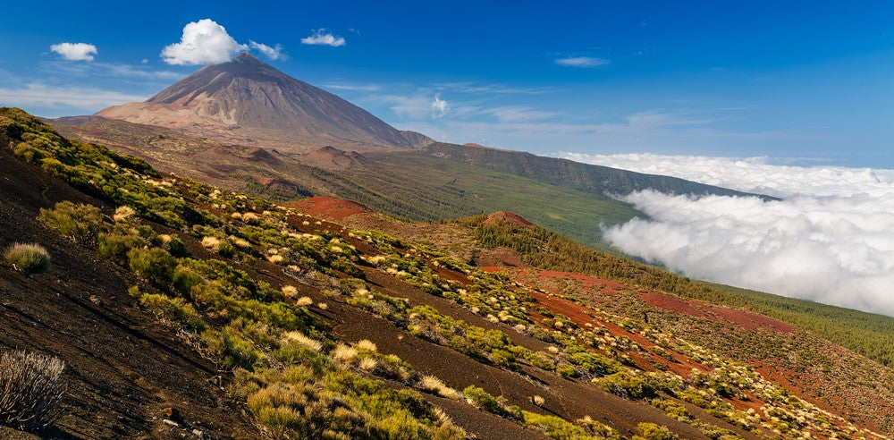 Conosciamo la Valle de Orotava, dall'orto di Era alle sue spiagge