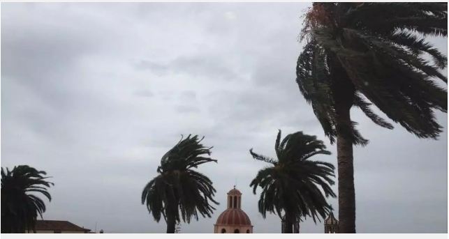 Allerta gialla per forti raffiche di vento questo venerdì a Tenerife