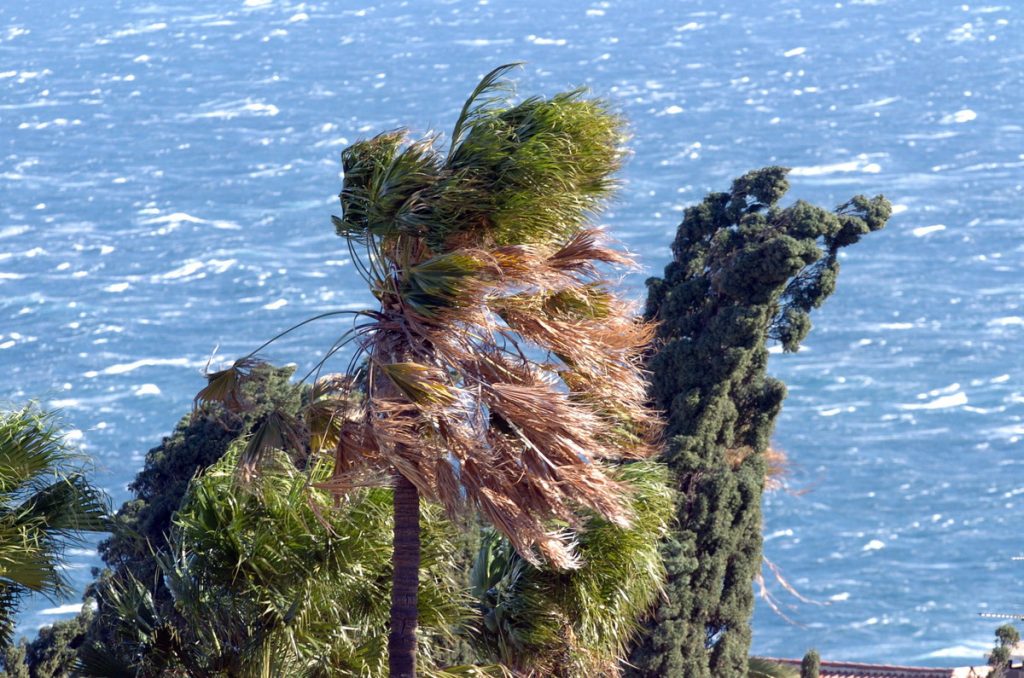 Tempesta Hipólito: ecco come colpirà le Canarie con pioggia e vento