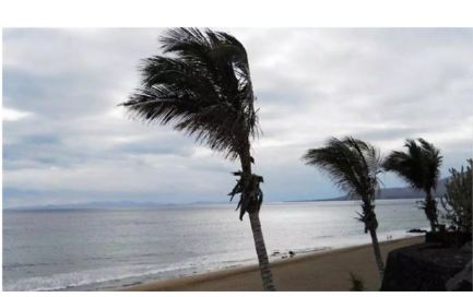 Il vento continuerà questo lunedì a Tenerife, al sud poco nuvoloso