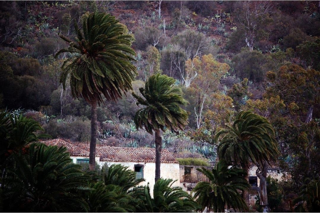 A Tenerife pioggia al nord e alisei sulle cime e massime in calo