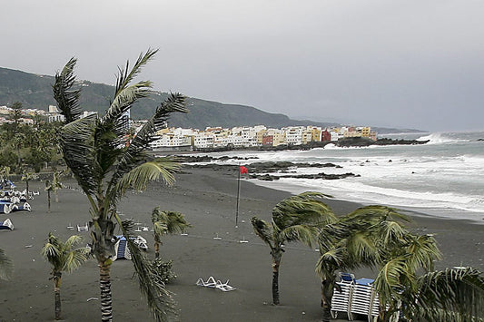 "Scuole chiuse domani in alcuni comuni di Tenerife per il vento"