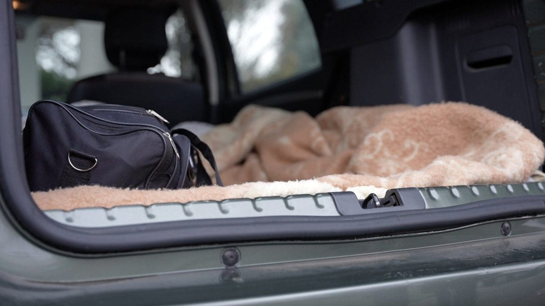 Con Airbnb puoi affittare una Citroën C3 Motion a 22 euro a notte